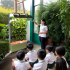 采绿种植机幼教版