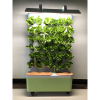 采绿种植机幼教版
