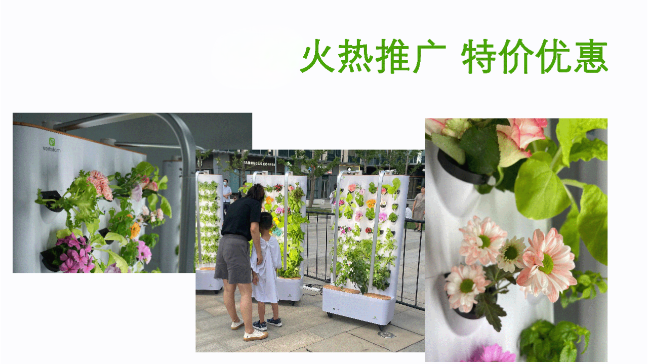 家里的采绿蔬菜种植机