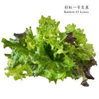 彩虹一号