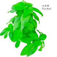 九层塔